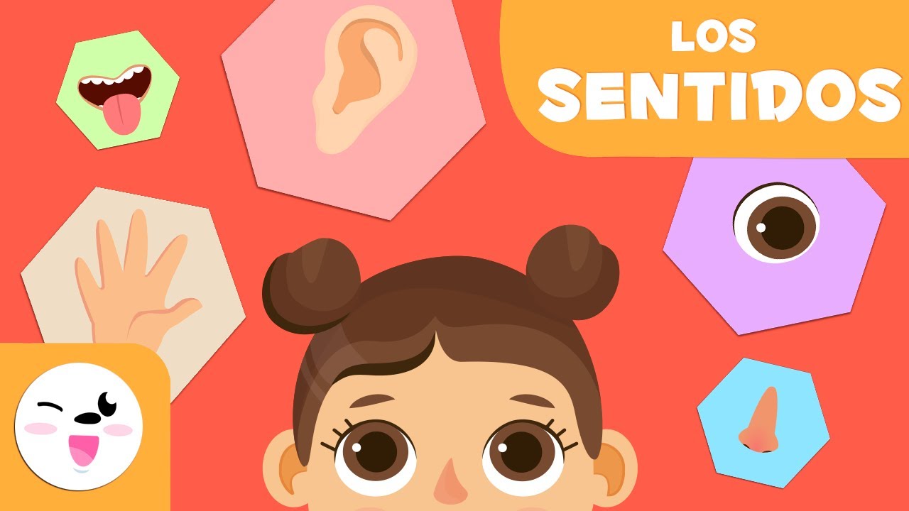 para qué nos sirven los cinco sentidos