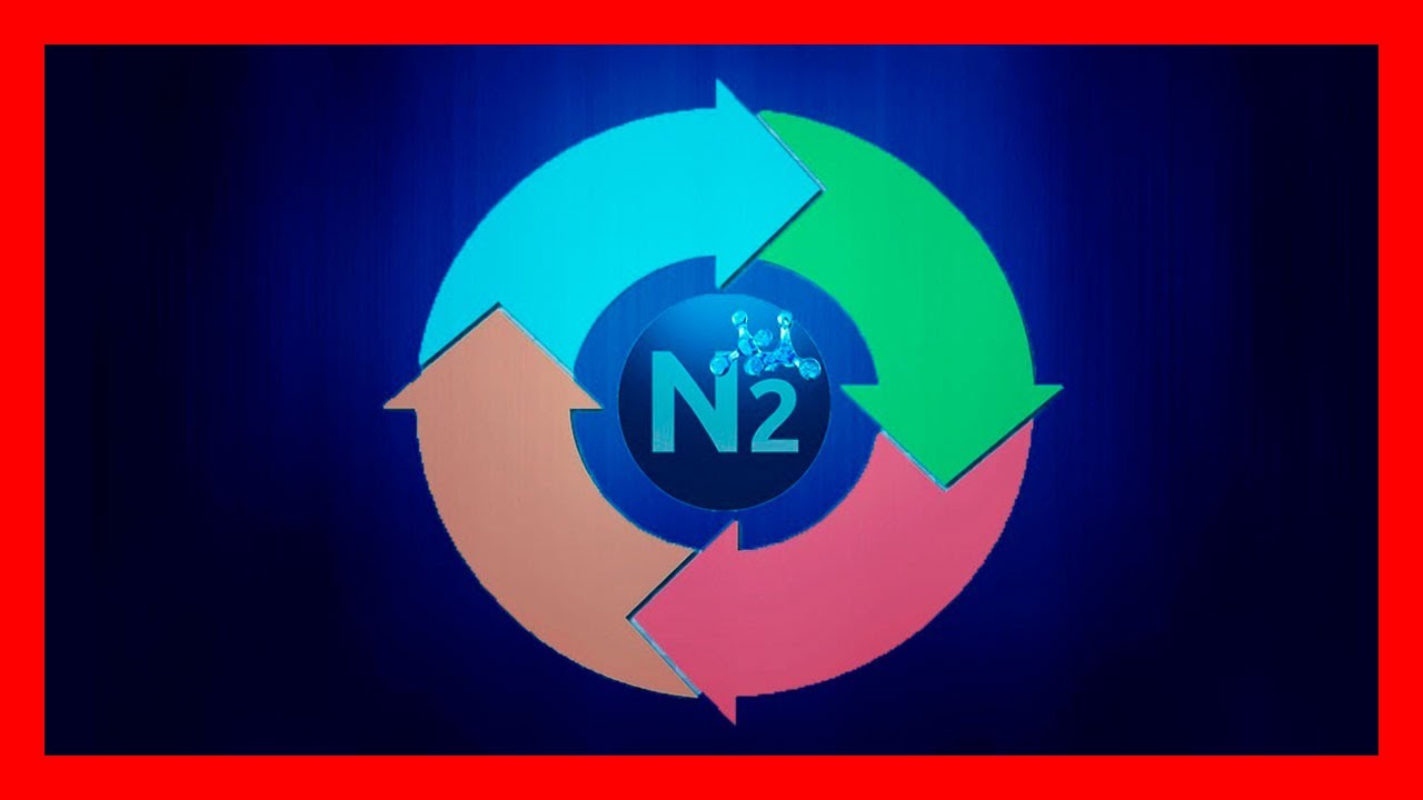 para que sirve el nitrogeno en los seres vivos