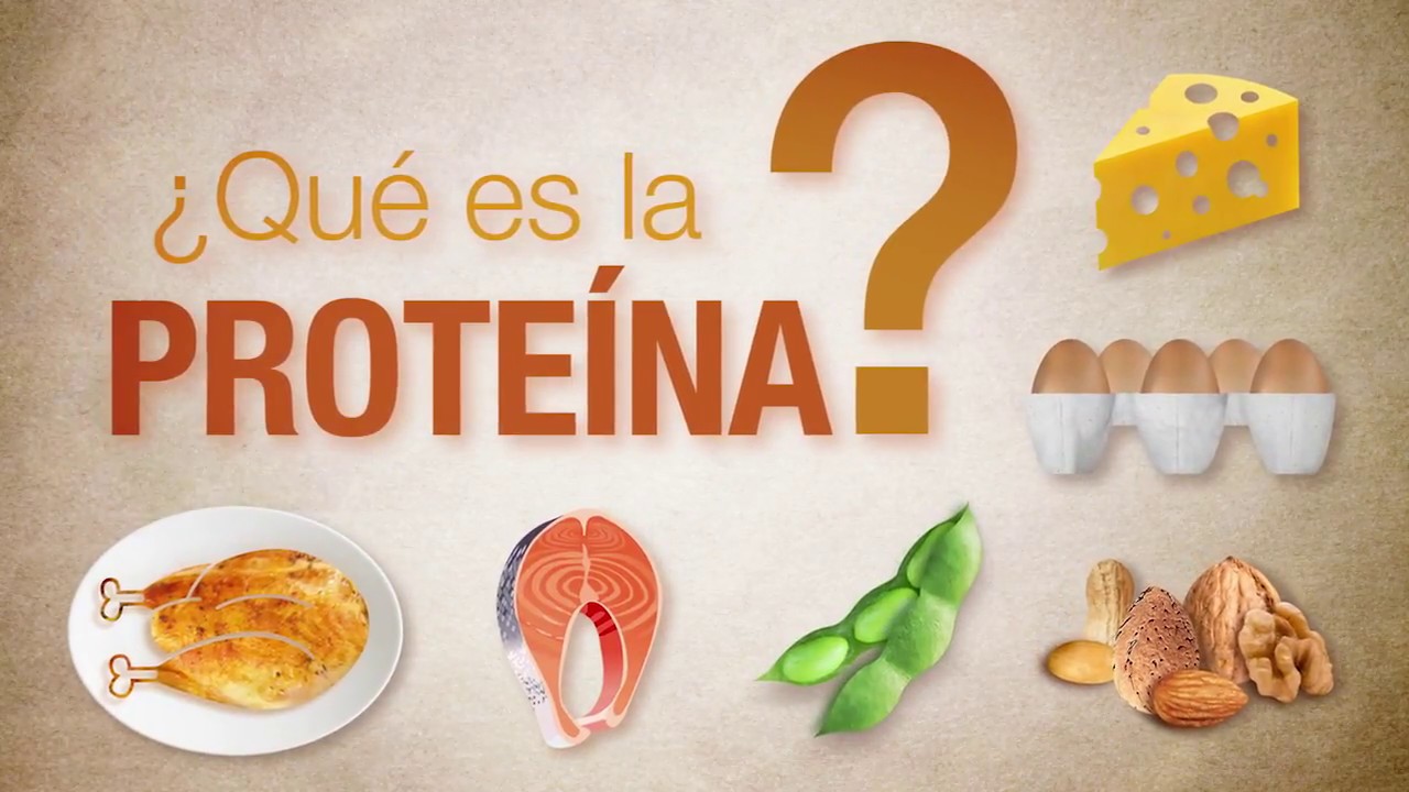 para qué sirven las proteínas en el cuerpo