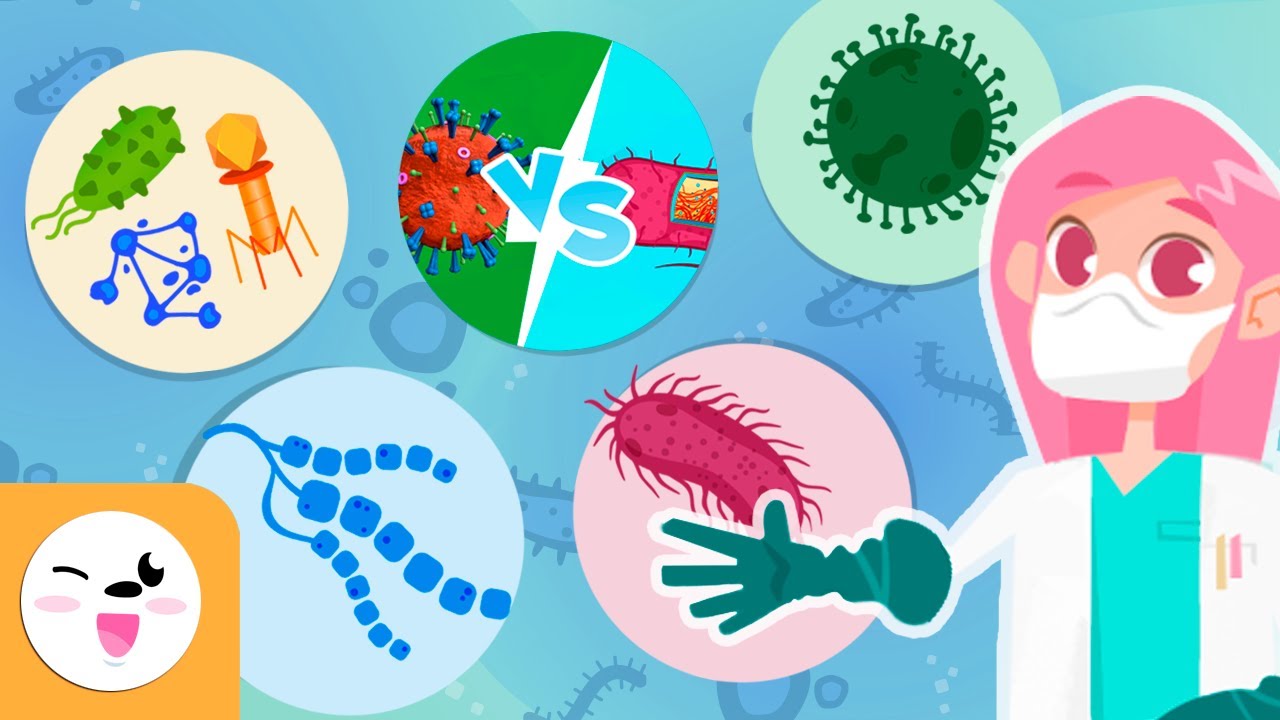 patologías relacionadas con los virus