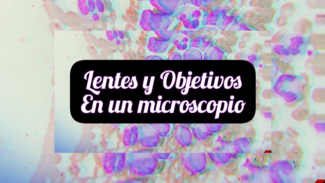 poder de definicion de las lentes del microscopio