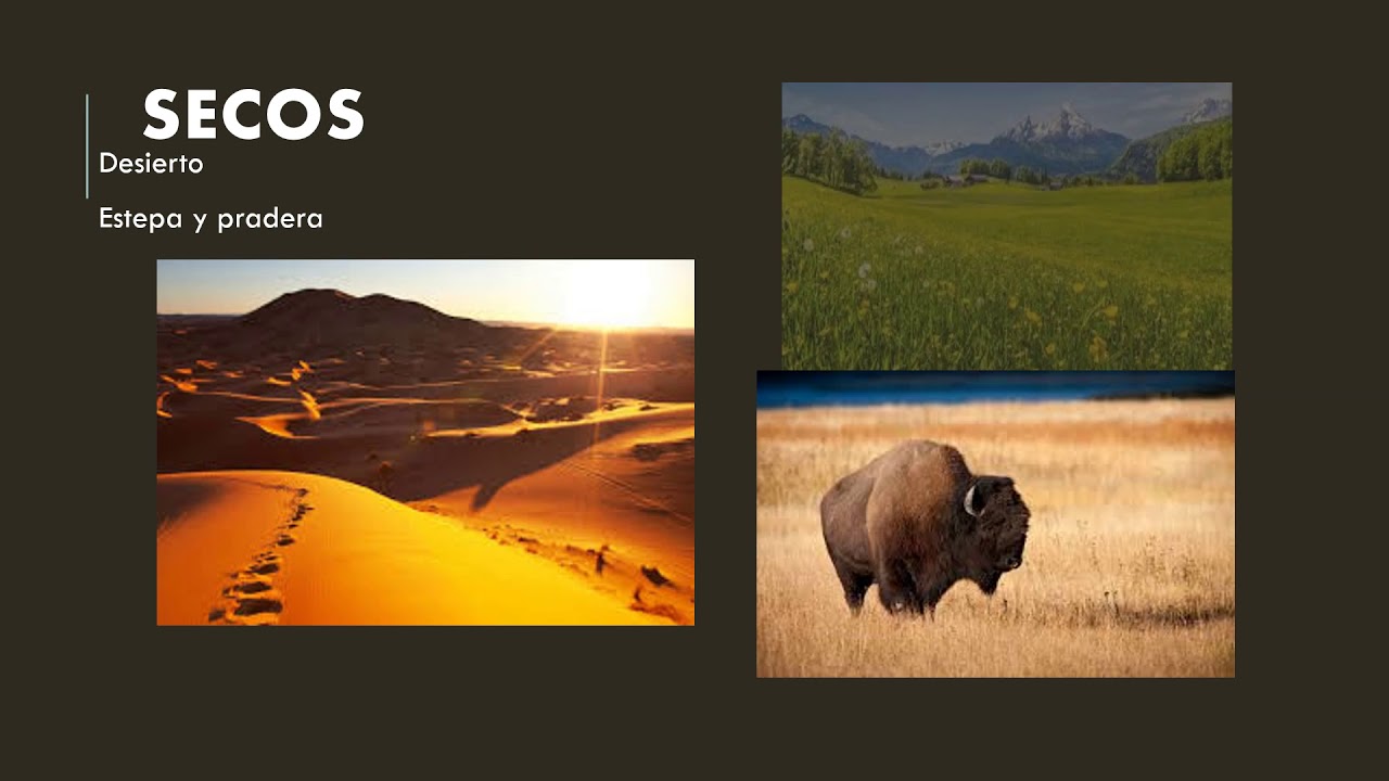 por qué el clima es determinante en el tipo de flora y fauna de una región natural
