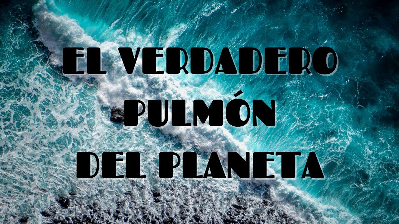 porcentaje de oxigeno en los seres vivos