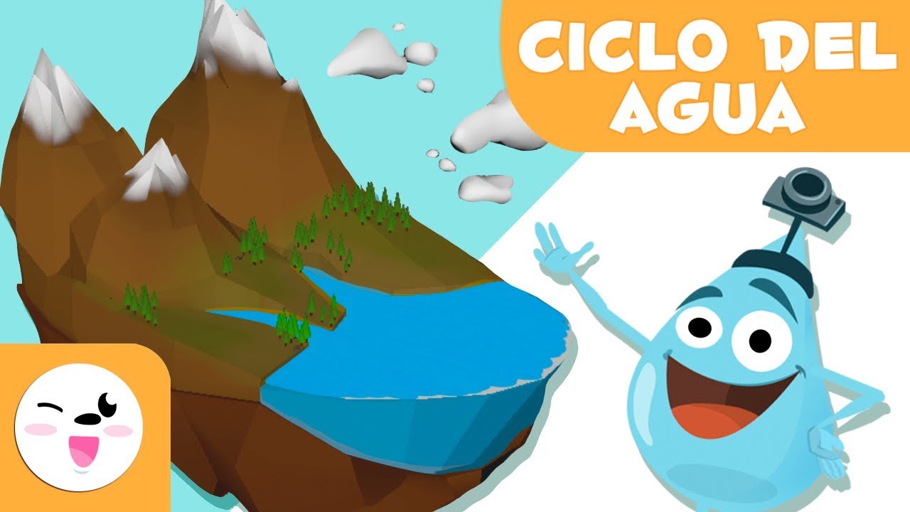 porque el ciclo del agua es un proceso importante