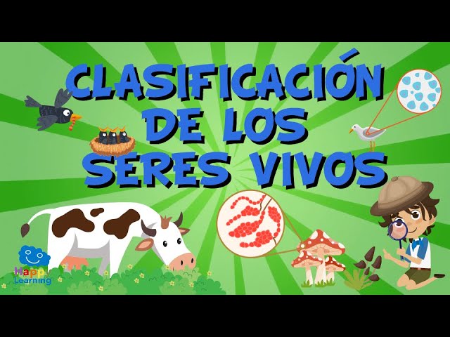 porque es importante la clasificacion de los seres vivos