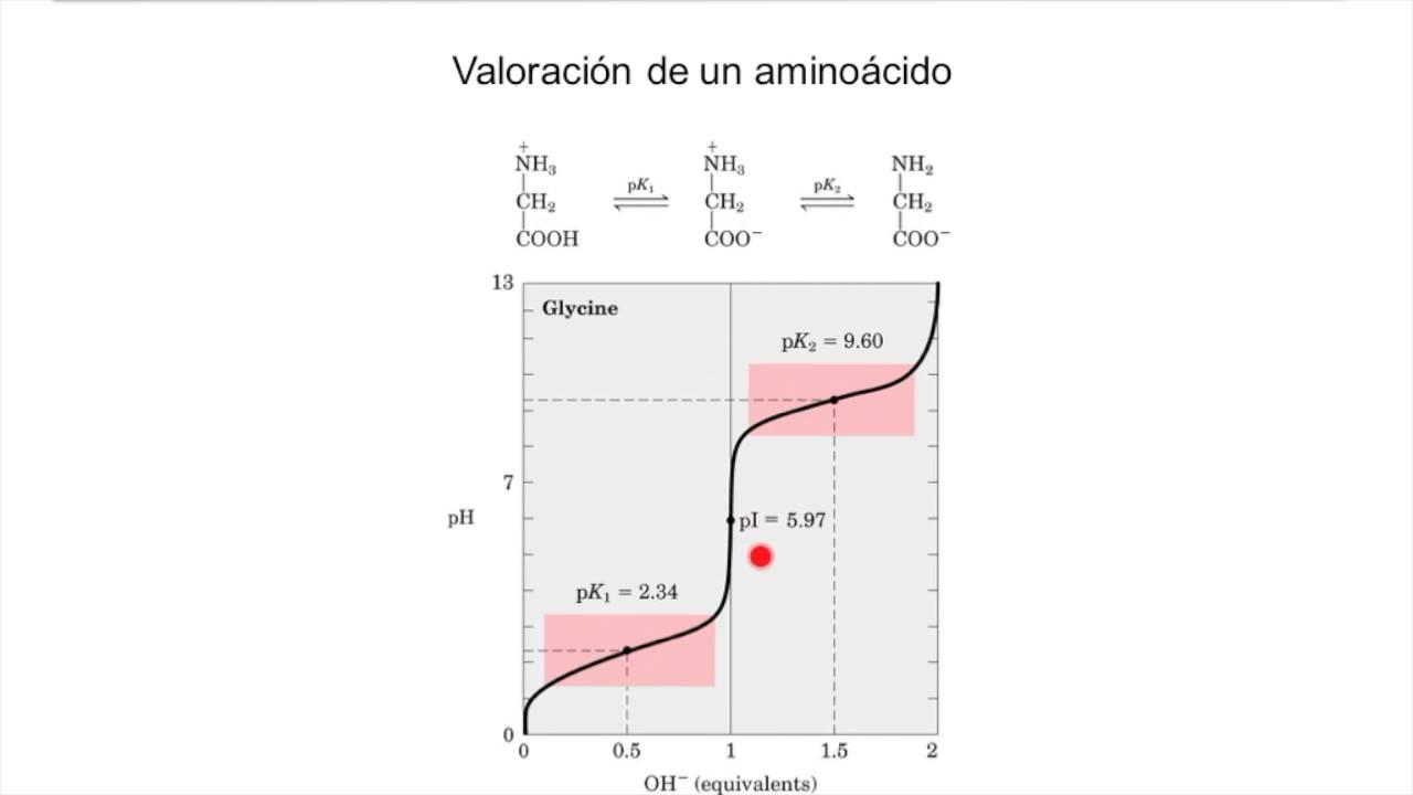 propiedades acido base de los aminoacidos