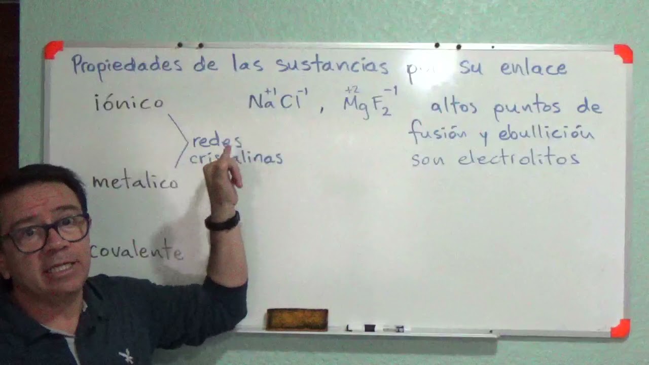 propiedades de los productos fotosinteticos en funcion de su tipo de enlace