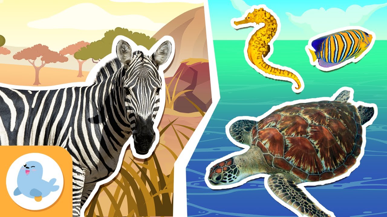 que animales hay en el ecosistema terrestre