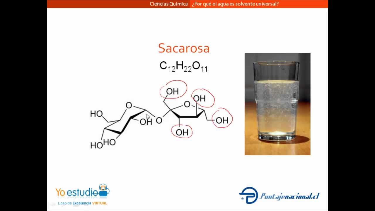 que características del agua hacen que sea un solvente universal