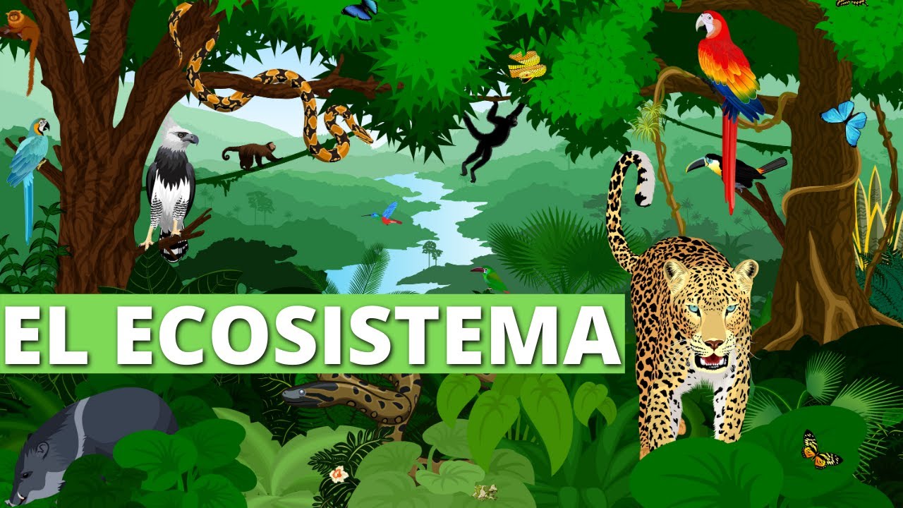 qué es un ecosistema y sus componentes