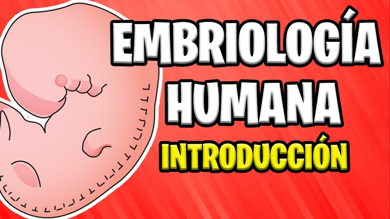 que estudia la embriología en biologia