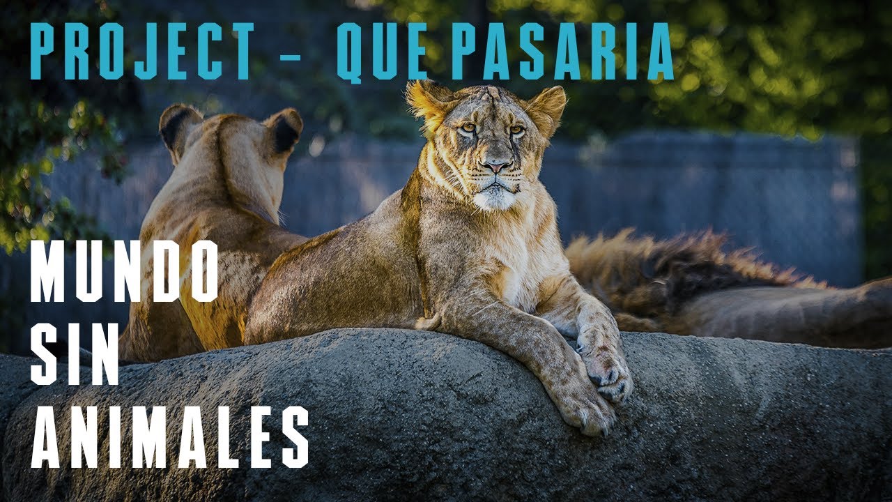 qué pasaría si no existieran los animales