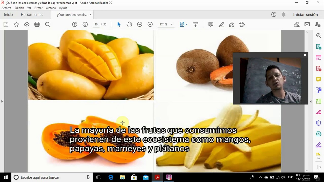 qué son los ecosistemas y cómo los aprovechamos