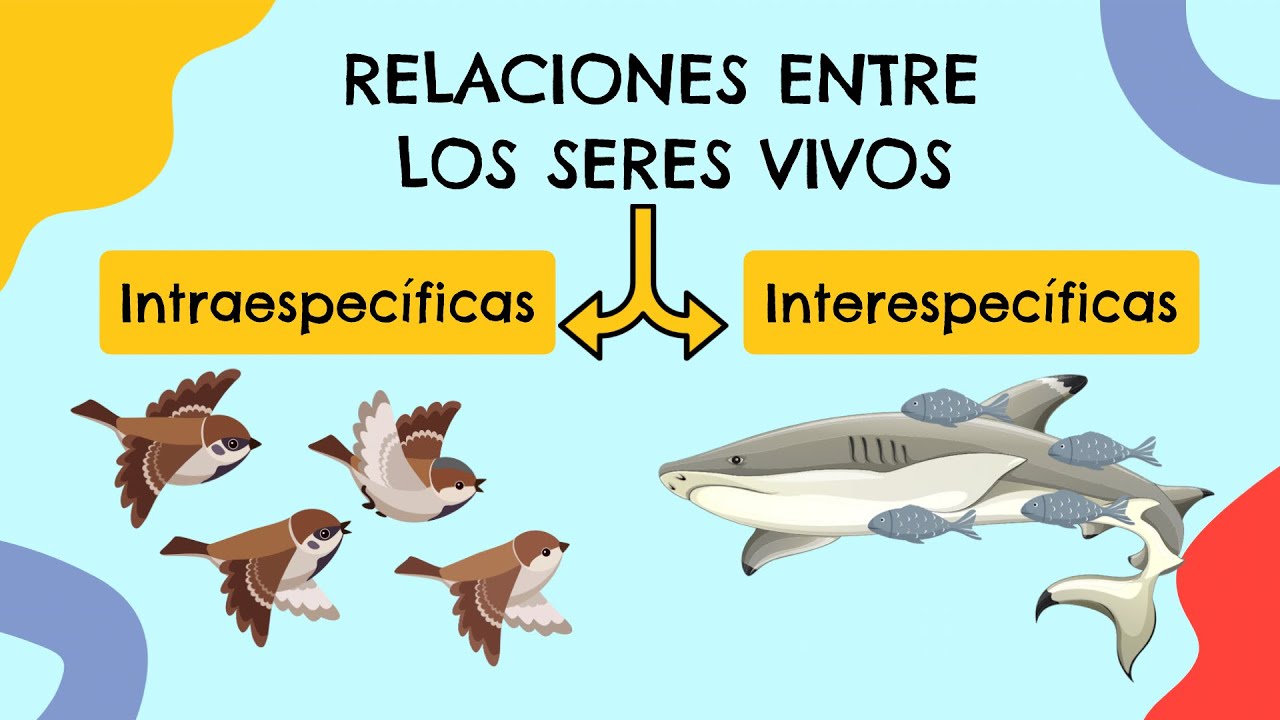 relaciones entre seres vivos ejemplos