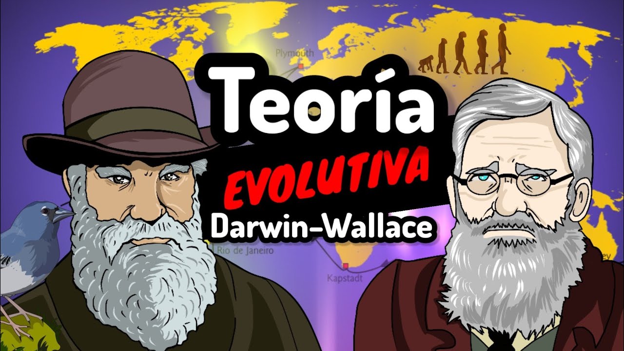 seleccion natural de darwin y wallace