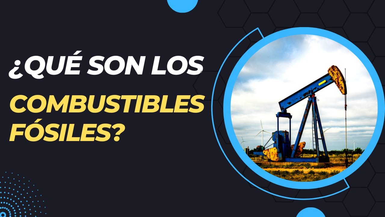 son combustibles fundamentales para la industria