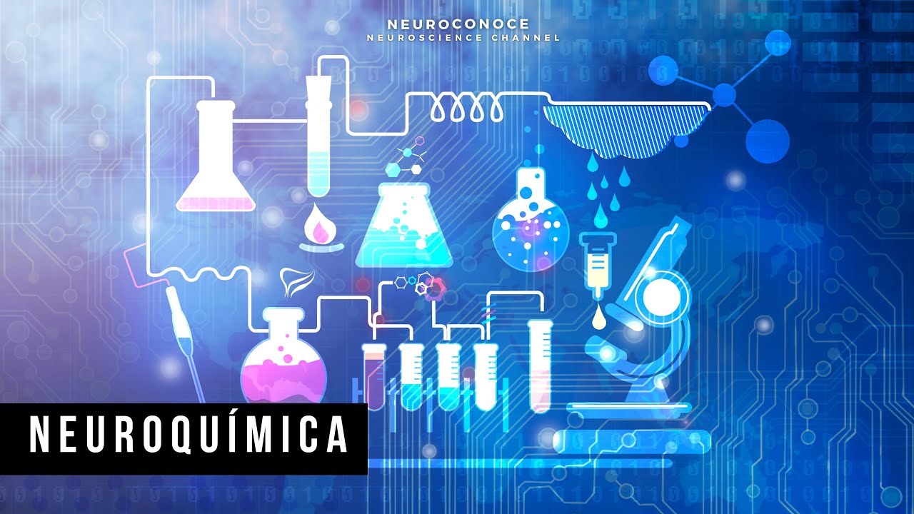 sustancias químicas del cerebro y sus funciones