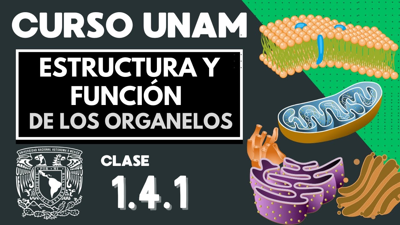 unam estructura y función celulares