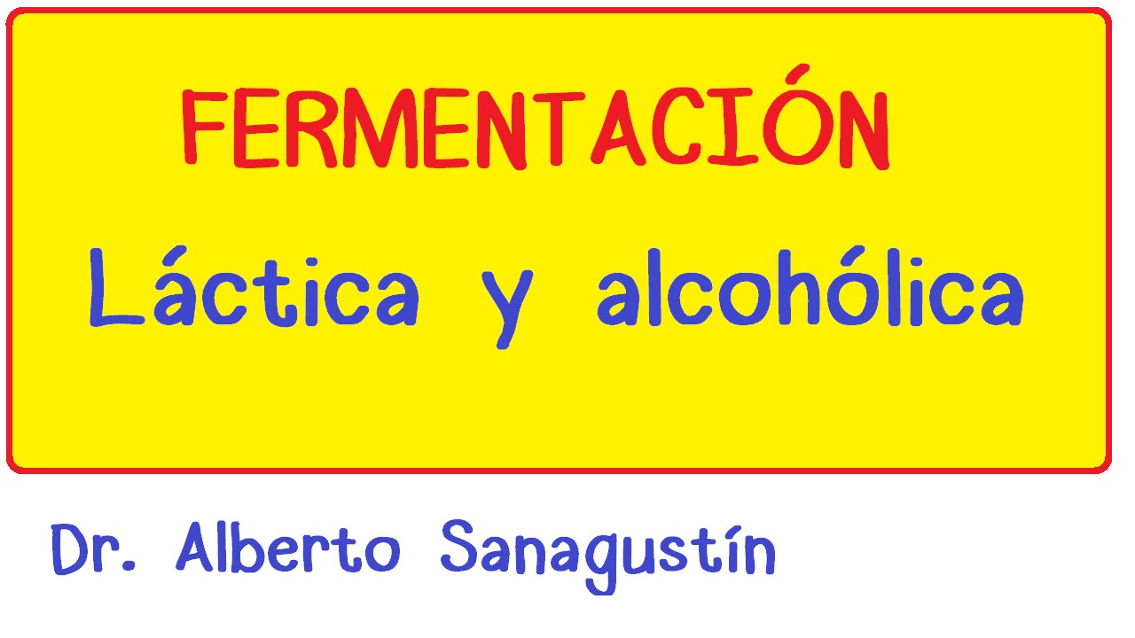 ¿qué molécula resulta de la fermentación láctica?