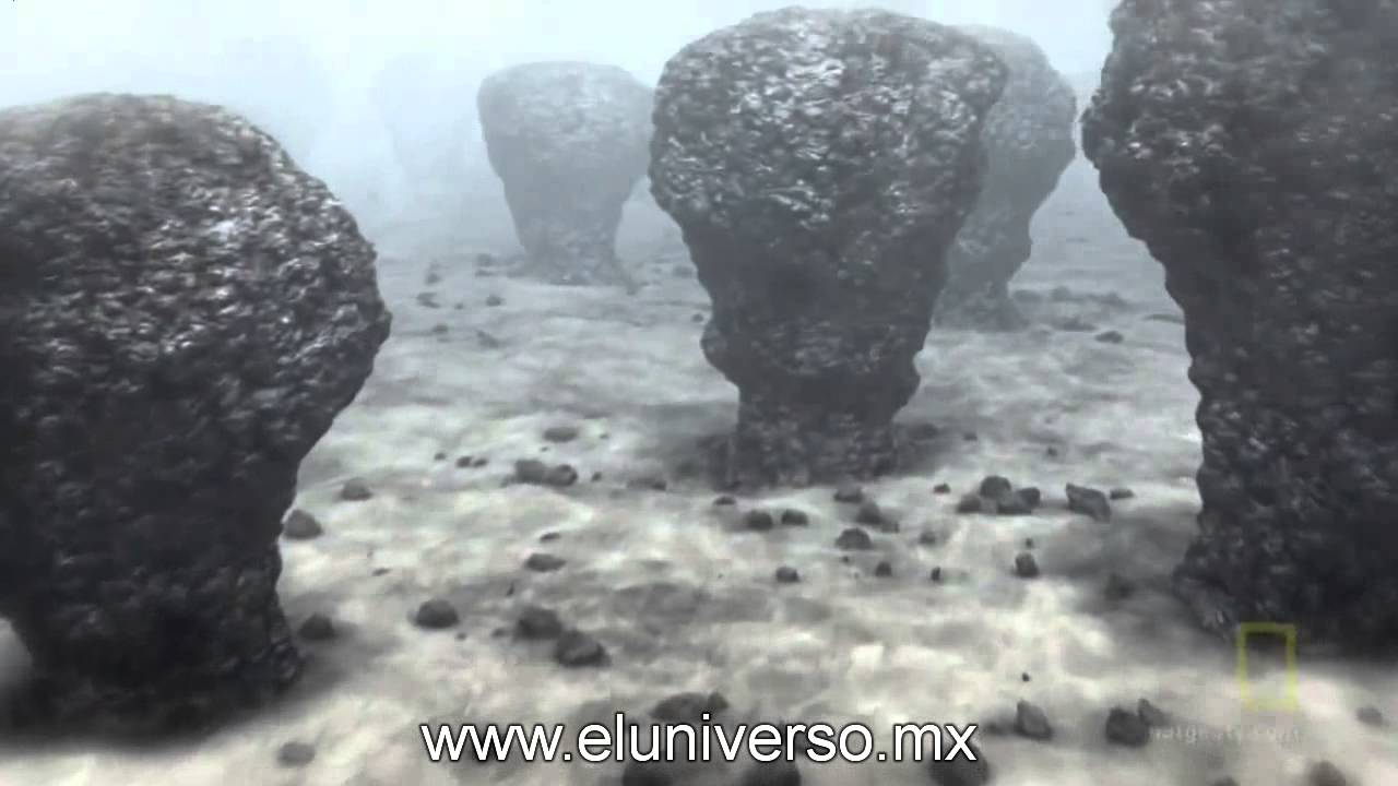 aparicion en la tierra de la bacteria
