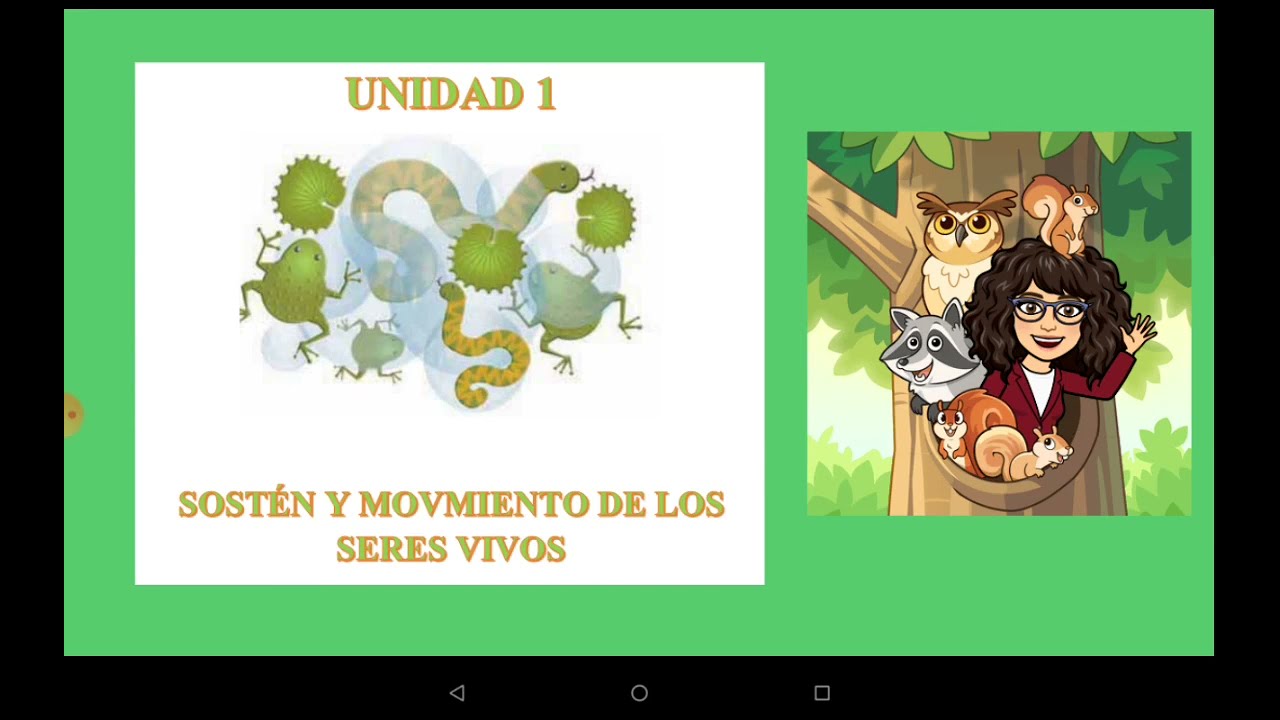caracteristicas de la piel del reptil