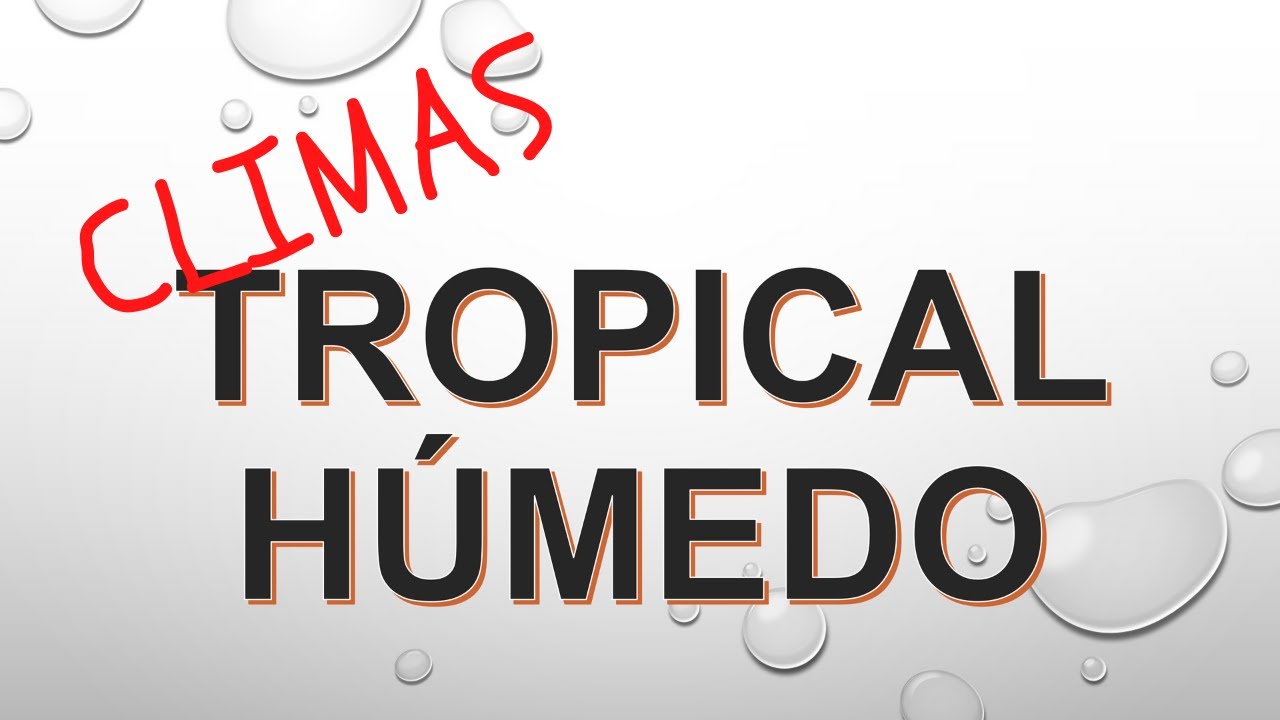 características del clima tropical húmedo