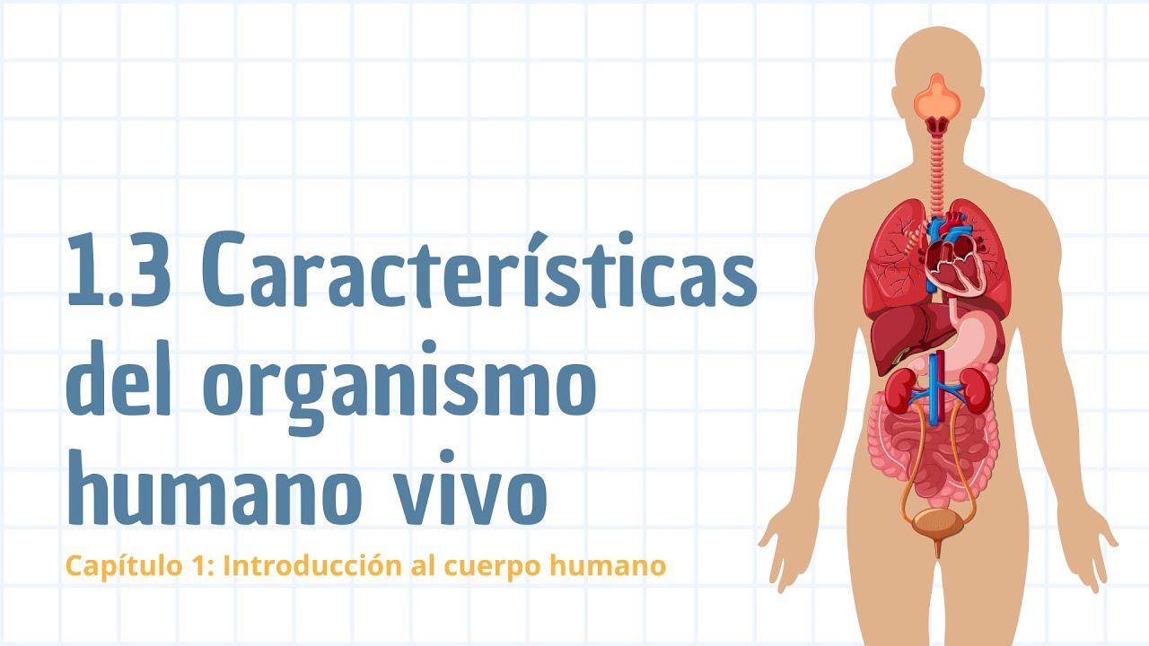 características del organismo humano vivo