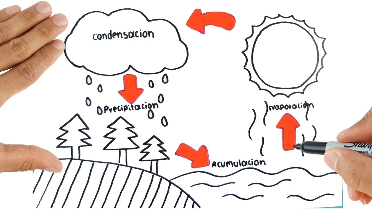 ciclo del agua para dibujar con nombres