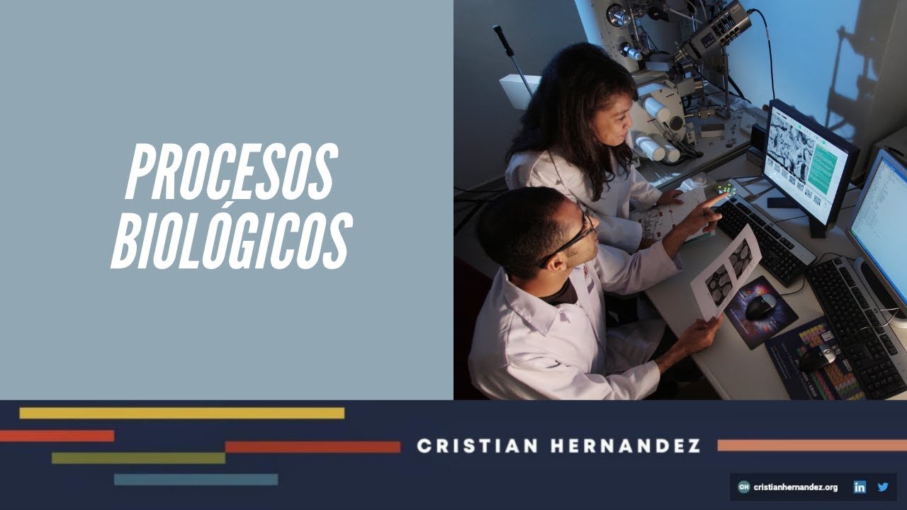 ciencias que han apoyado ala biologia para lograr su avance actual