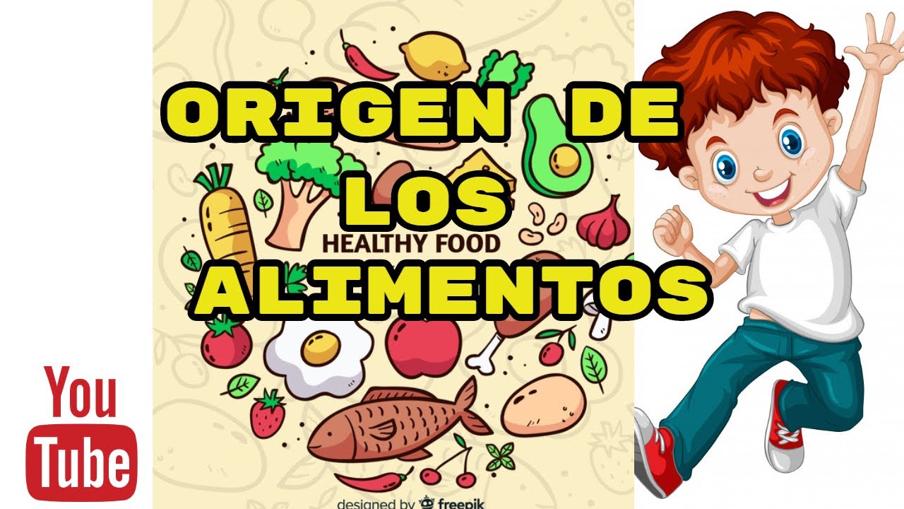 clasificación de los alimentos de origen animal