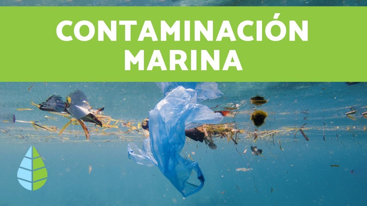 como afecta la contaminación a la vida marina