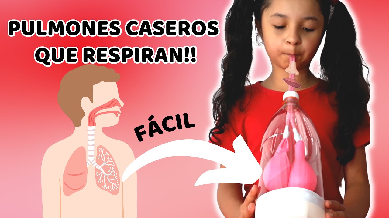 como hacer unos pulmones con globos