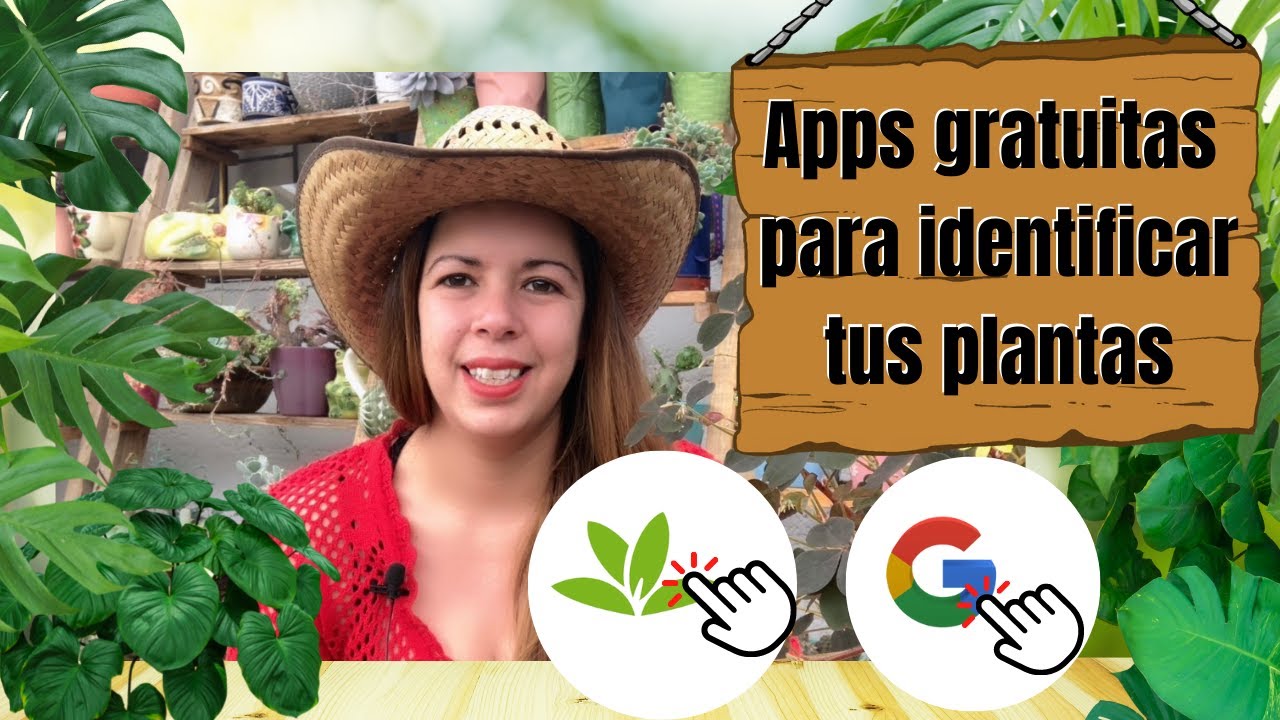 como saber que tipo de planta tengo