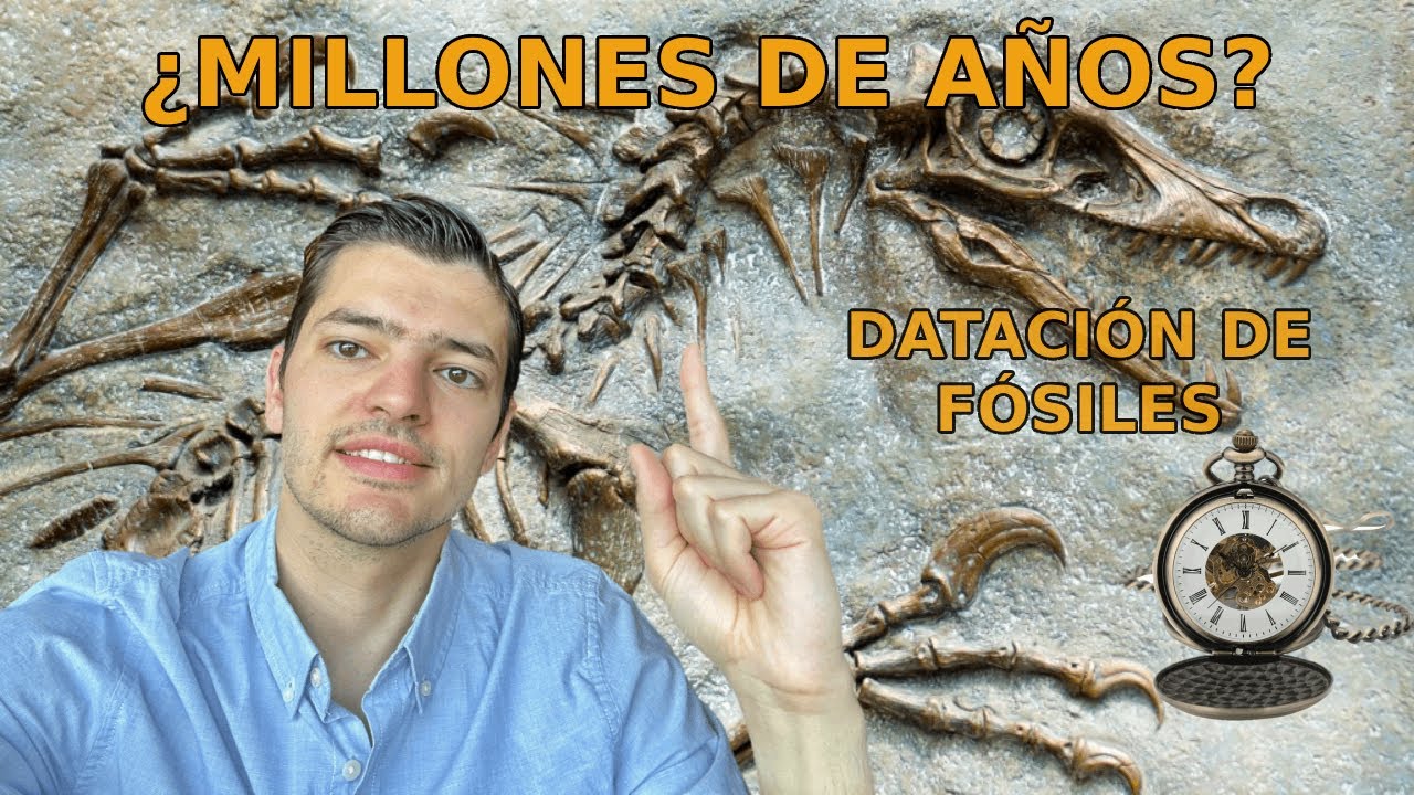 como se determina la edad de los fosiles