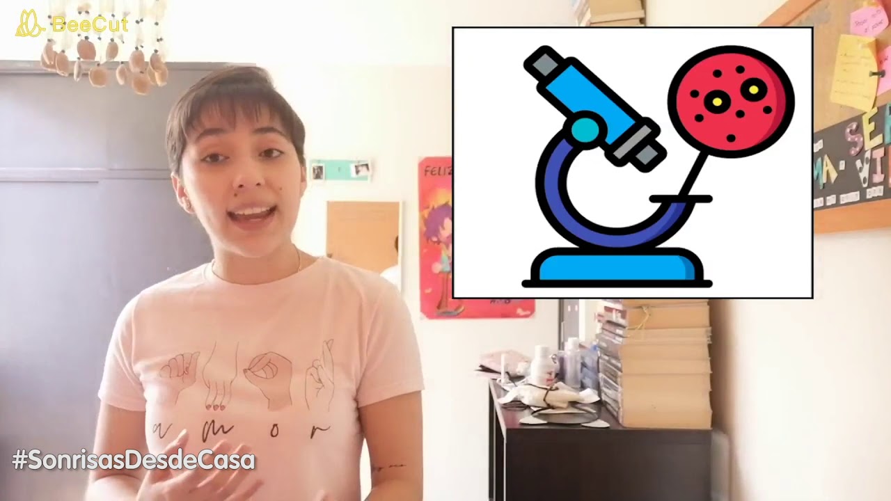 con que tipo de microscopio se pueden observar los virus