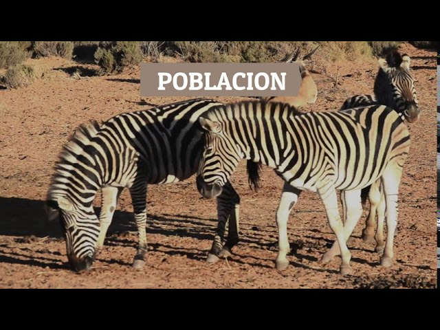 conjunto de poblaciones de diferentes especies que comparten espacio y tiempo