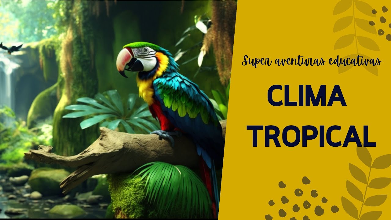 cuál es el clima de la selva tropical