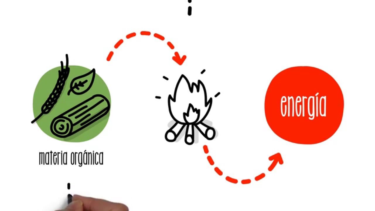 cuál es la fuente de la energía dela biomasa y para qué sirve