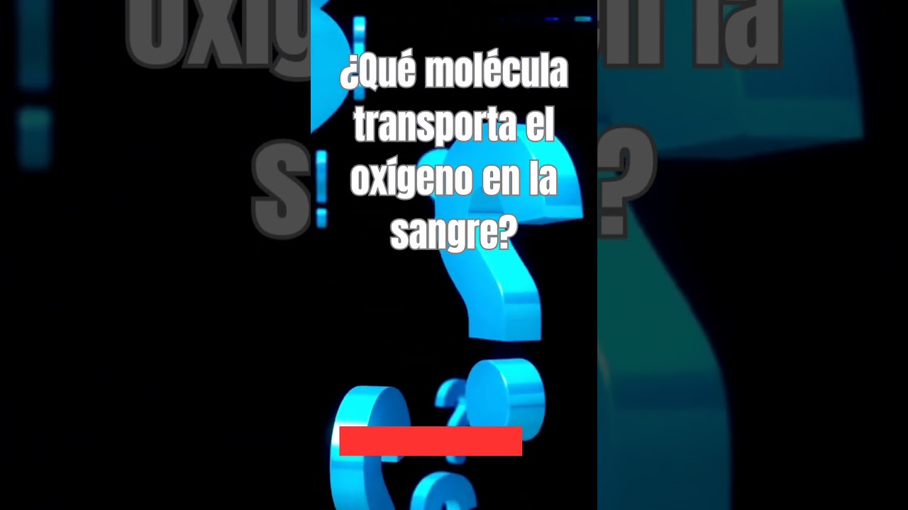cuantas moleculas de oxigeno transporta la hemoglobina