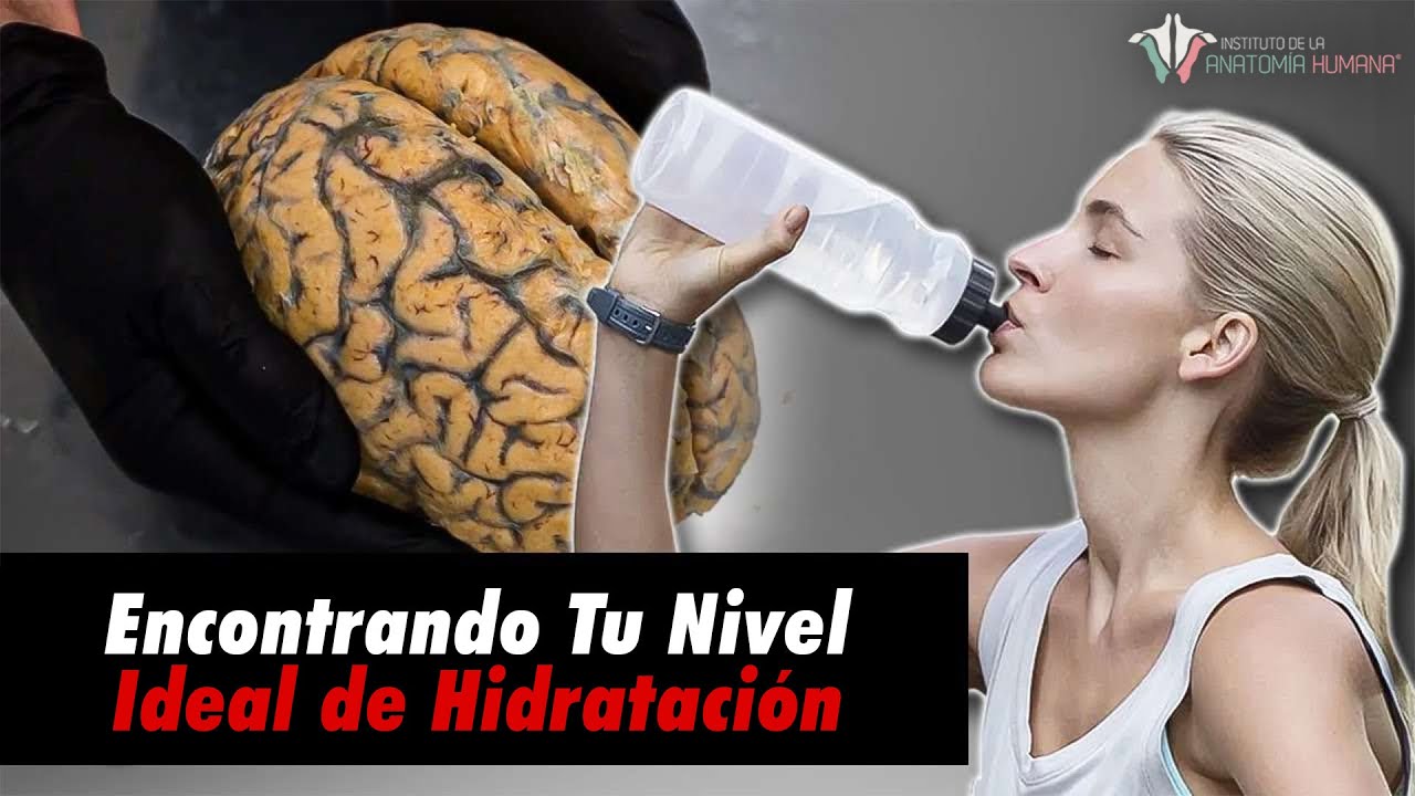 de cuanta agua se compone el cuerpo humano