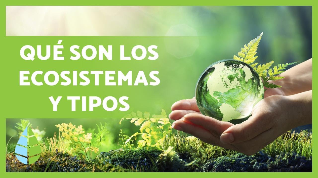 definicion de ecosistema segun autores
