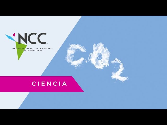 efectos positivos y negativos del dioxido de carbono
