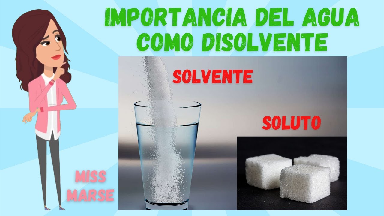 el agua como disolvente universal ejemplos