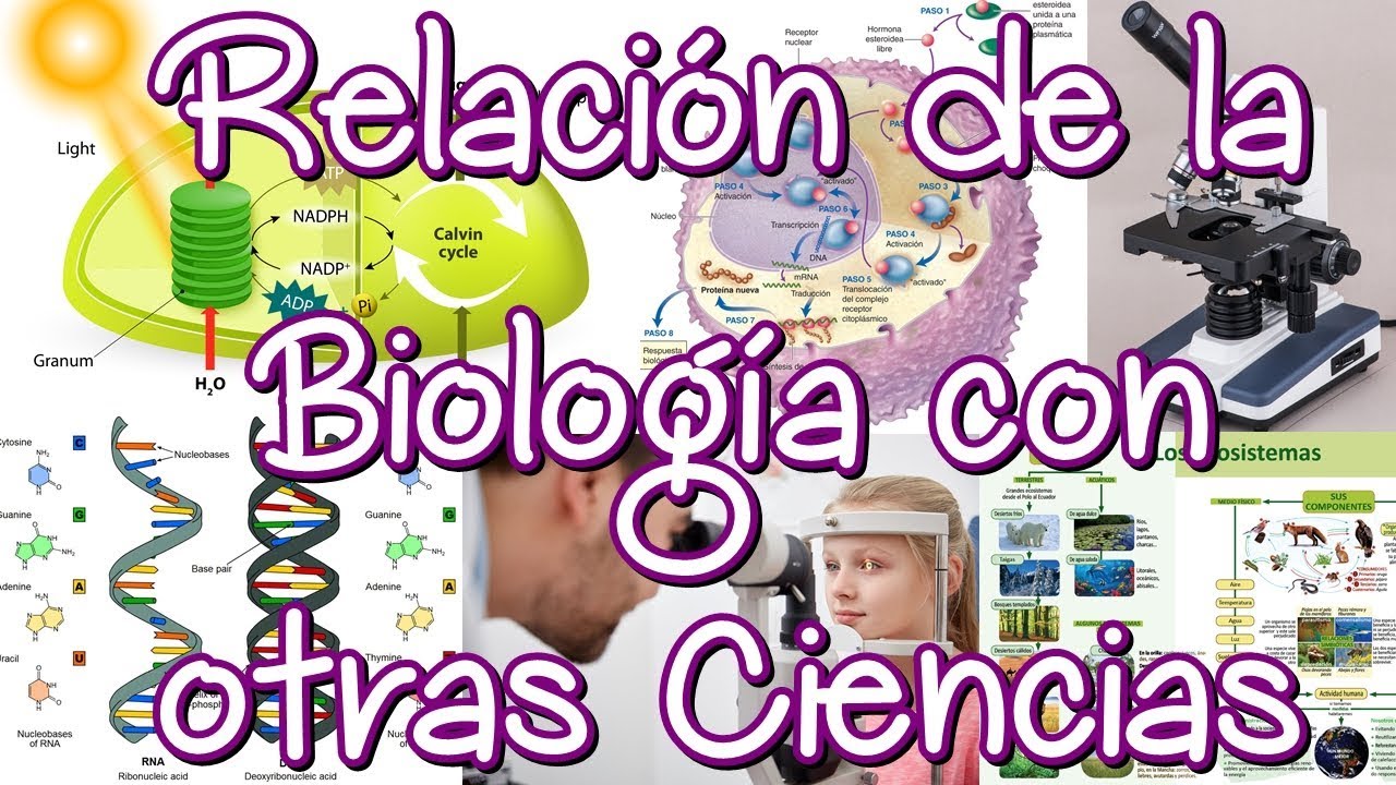 en que se relaciona la quimica con la geografia