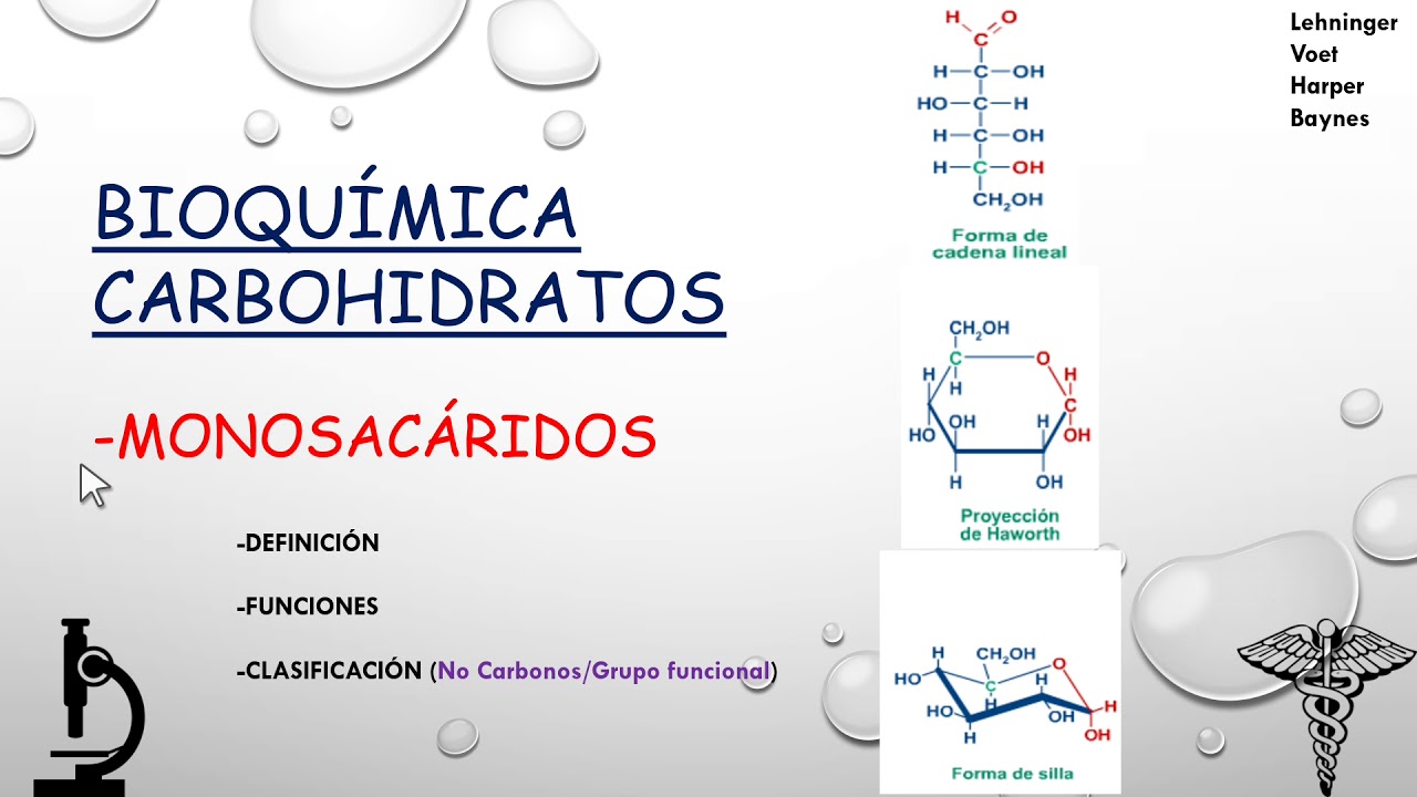 grupo funcional de los monosacaridos