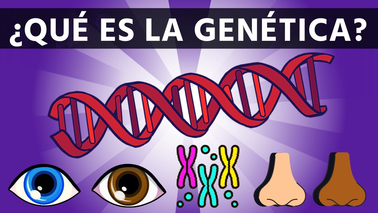 historia y conceptos basicos de la genetica