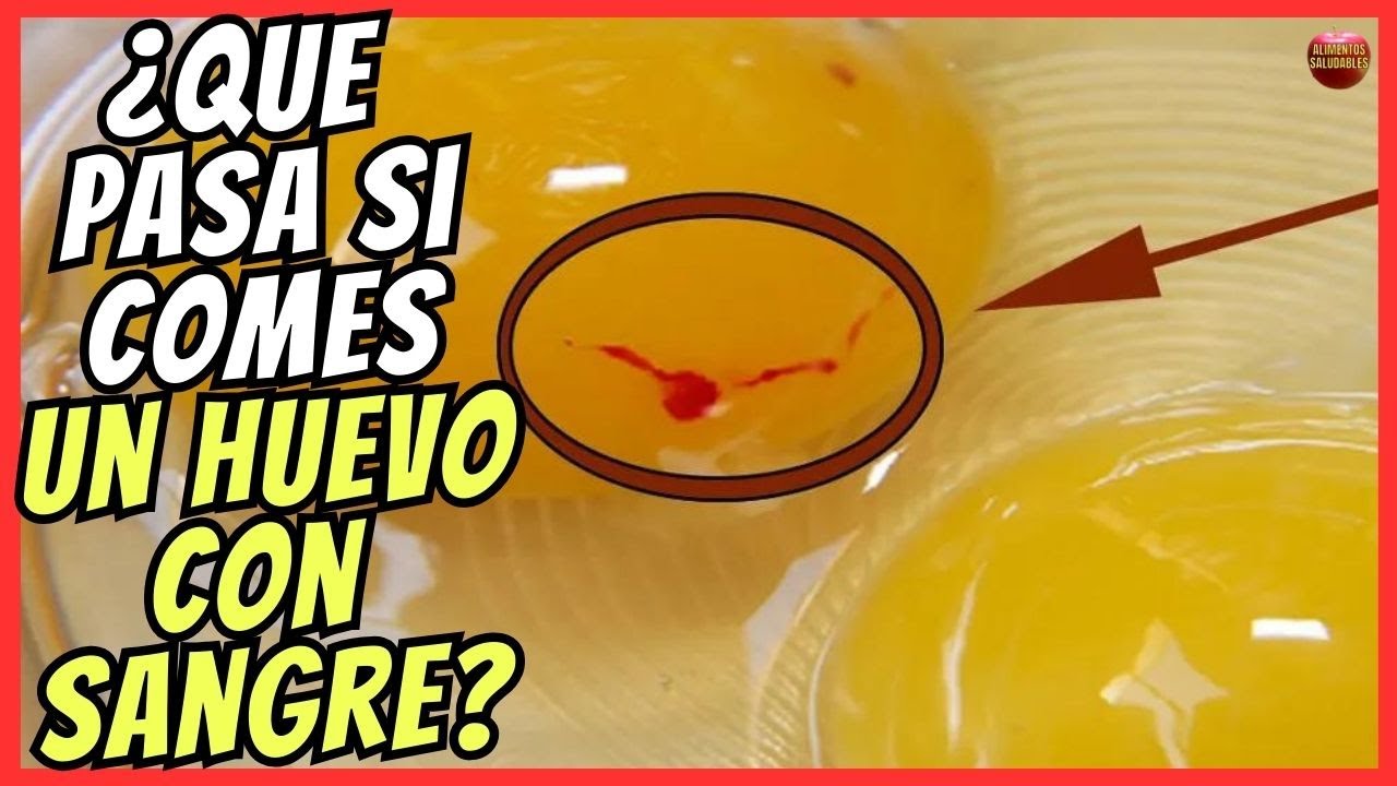 huevo con mucha sangre en la clara