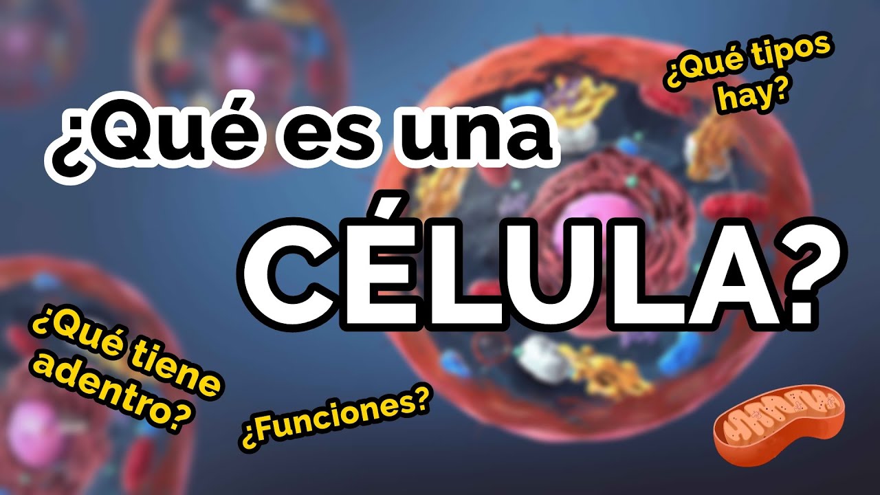 introducción y conclusión de la célula