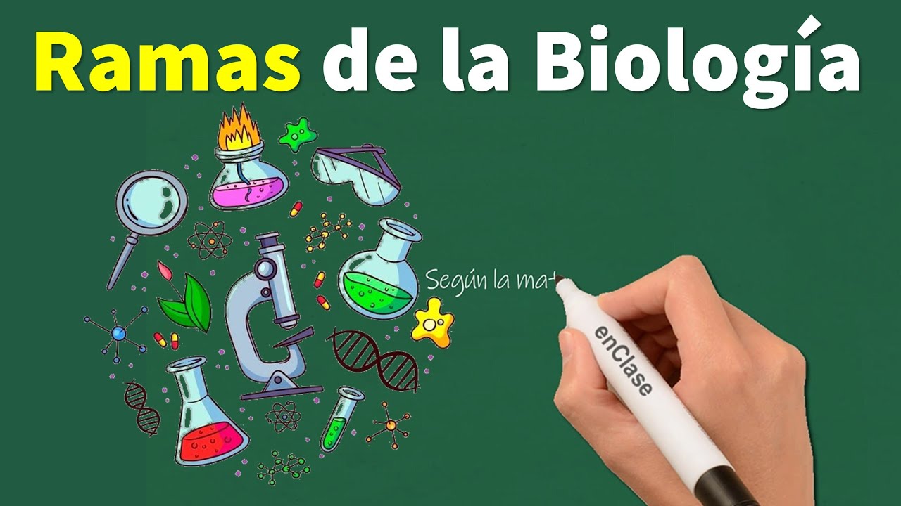 investigar las ramas de la biología