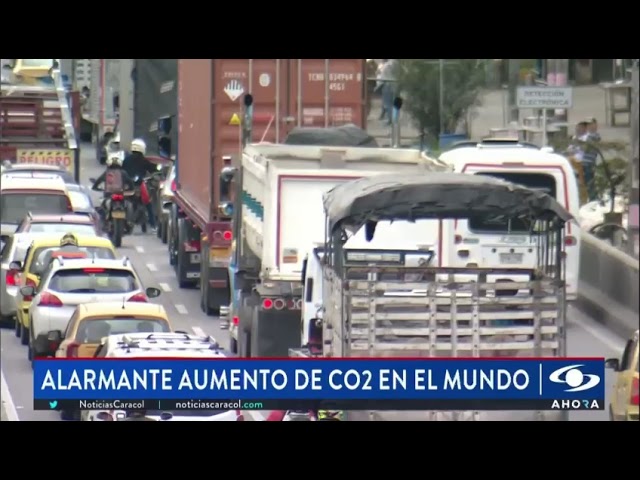 la mayor parte del carbono en la tierra se almacena en: